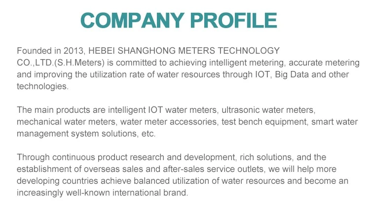 company introduction company introduction